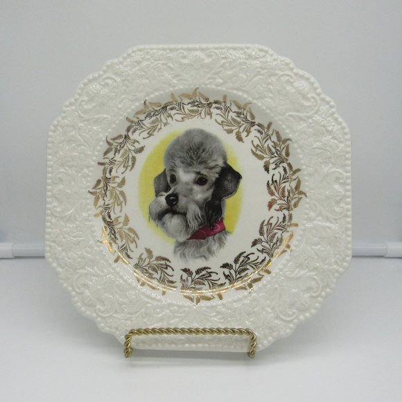 LORD NELSON POTTERY ENGLAND 71/2" COLLECTOR PLATE FEATURING POODLE DOG HEAD. - Picture 3 of 4
